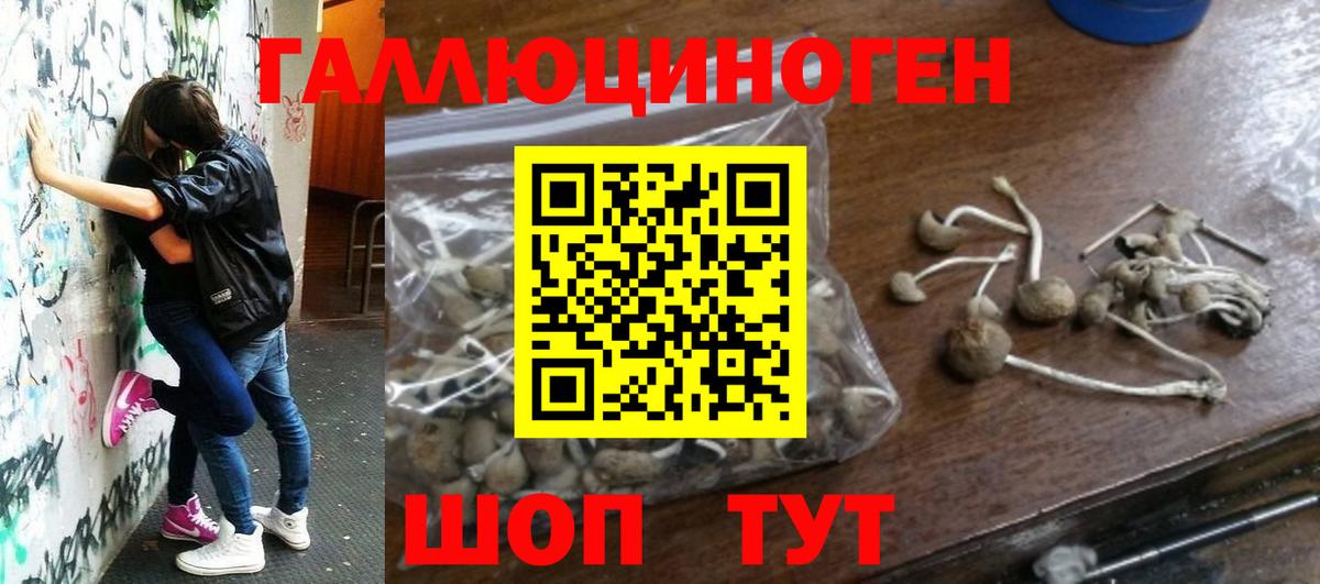Псилоцибиновые грибы Magic Shrooms Менделеевск